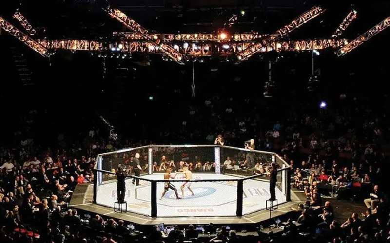 خطوة رياضية.. الفنون القتالية المختلطة تدخل دورة الألعاب الآسيوية 2026